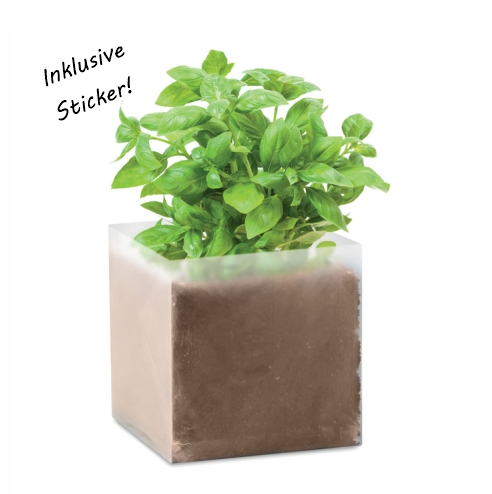 Pflanz-Set Basilikum – nachhaltiges Give-Away