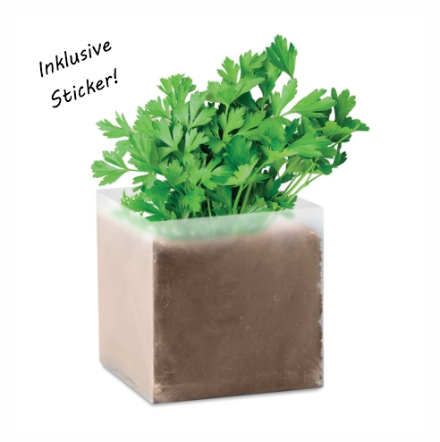 Pflanz-Set Petersilie – nachhaltiges Give-Away
